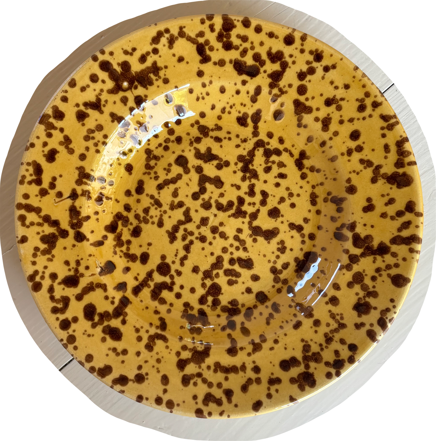 MINI LEOPARD SCHIZZO PLATE