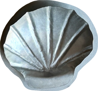 SHELL BOWLS - Set of 2