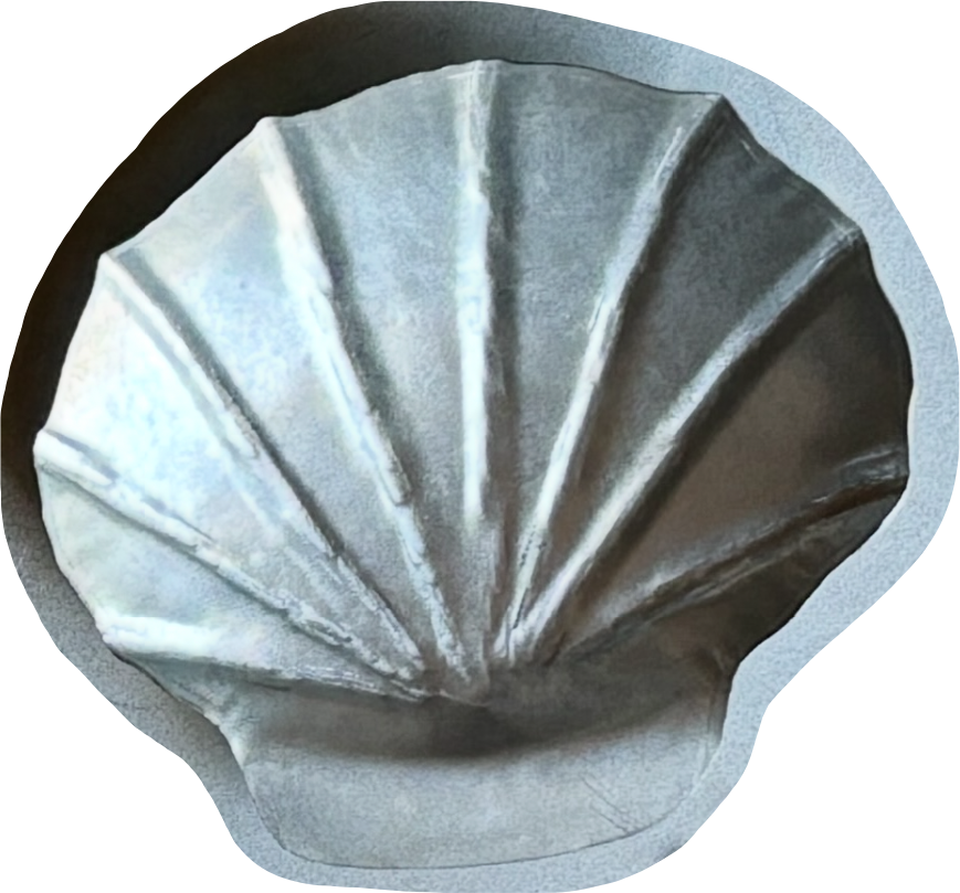 SHELL BOWLS - Set of 2