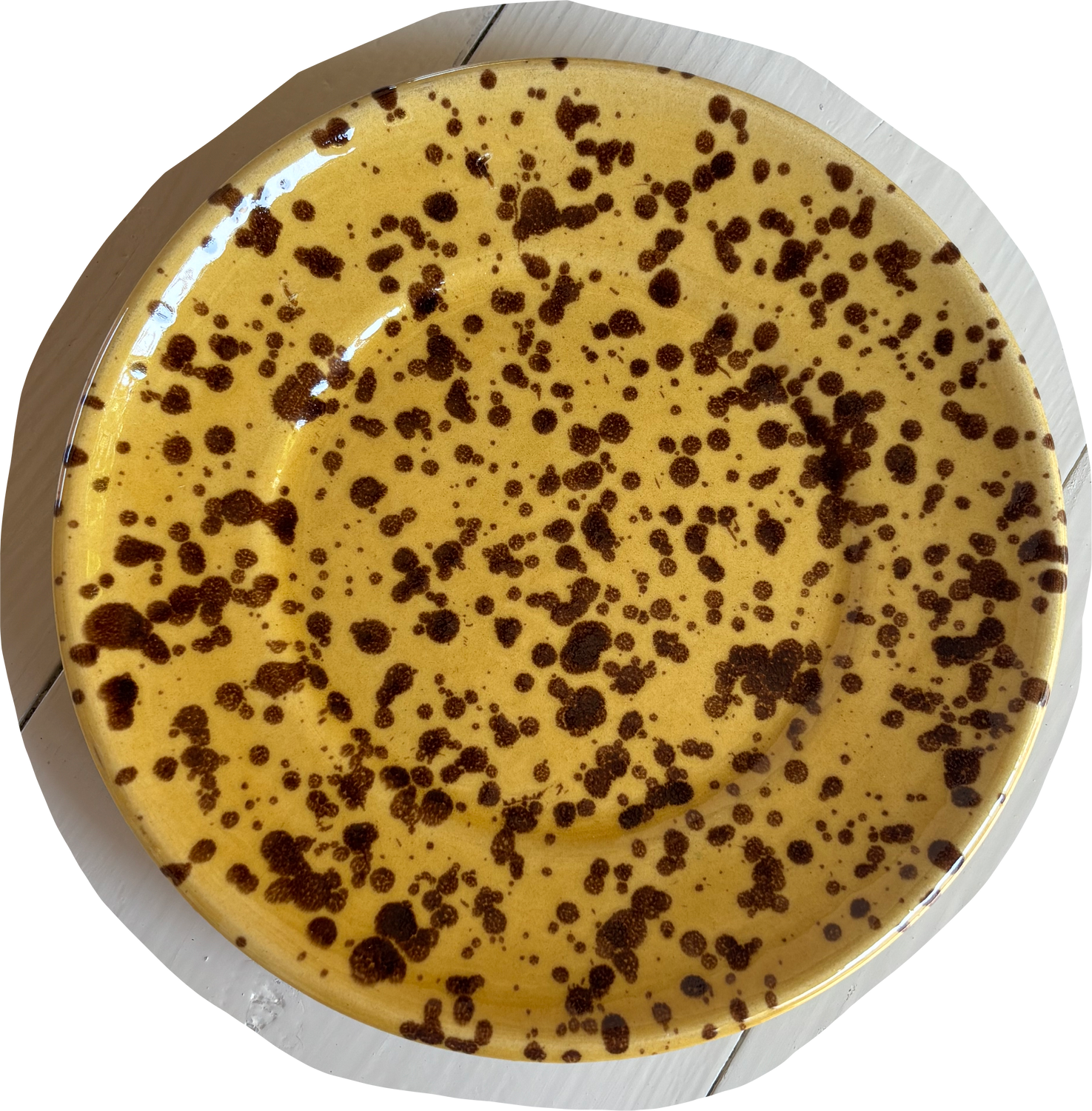 MINI LEOPARD SCHIZZO PLATE