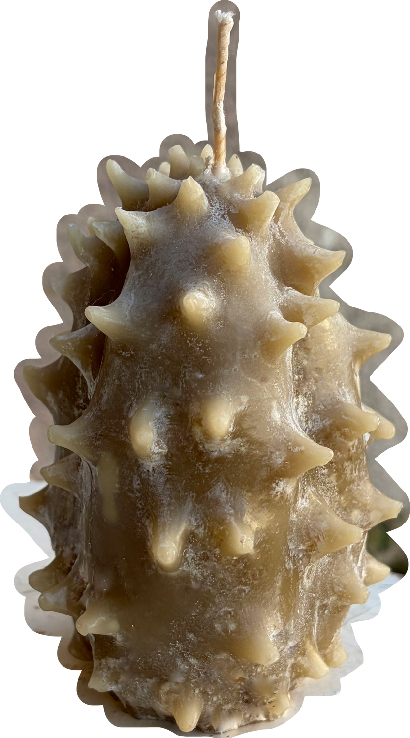 KIWANO CANDLE