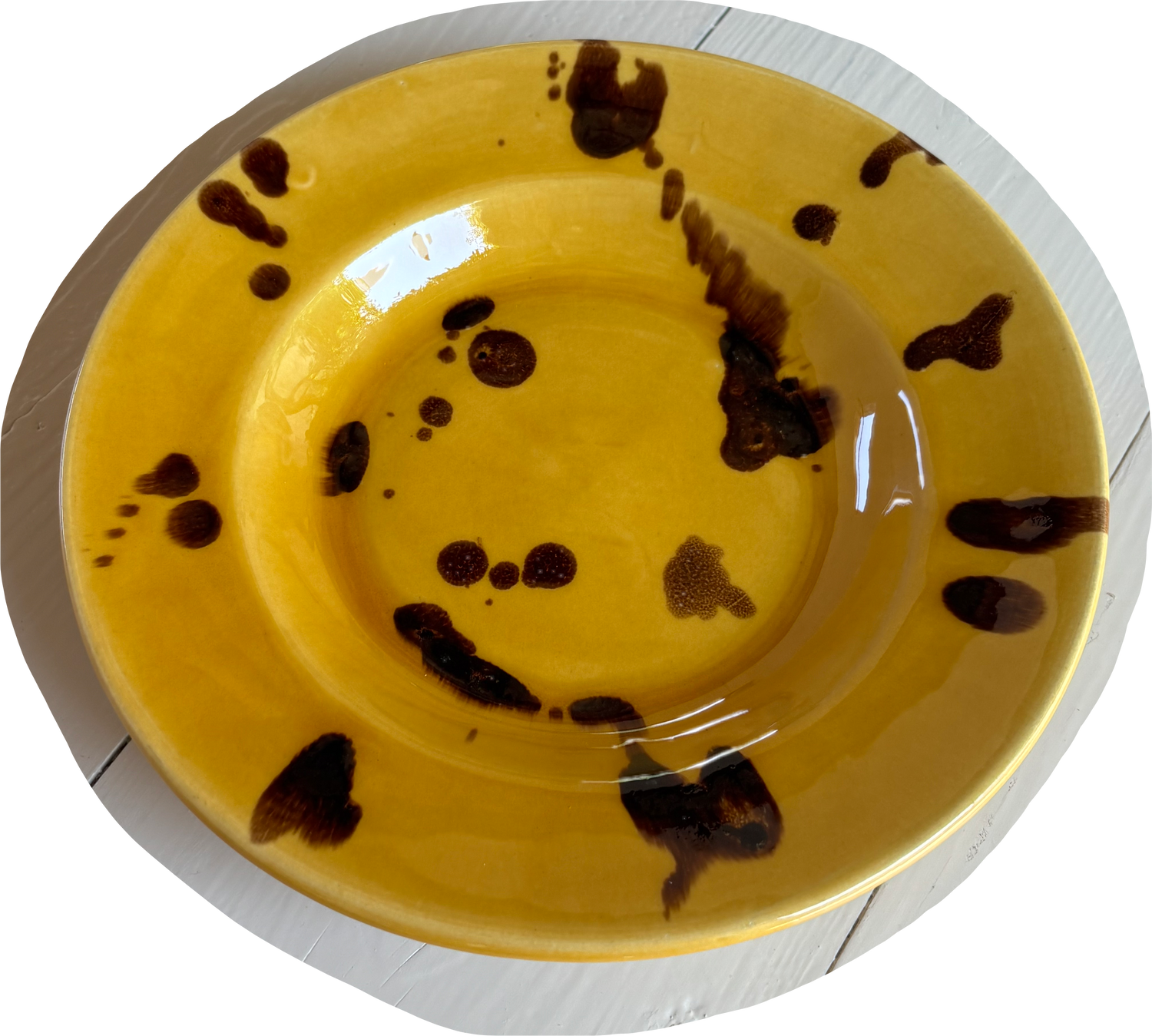 MAXI LEOPARD SCHIZZO PLATE