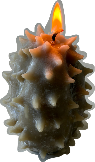 KIWANO CANDLE