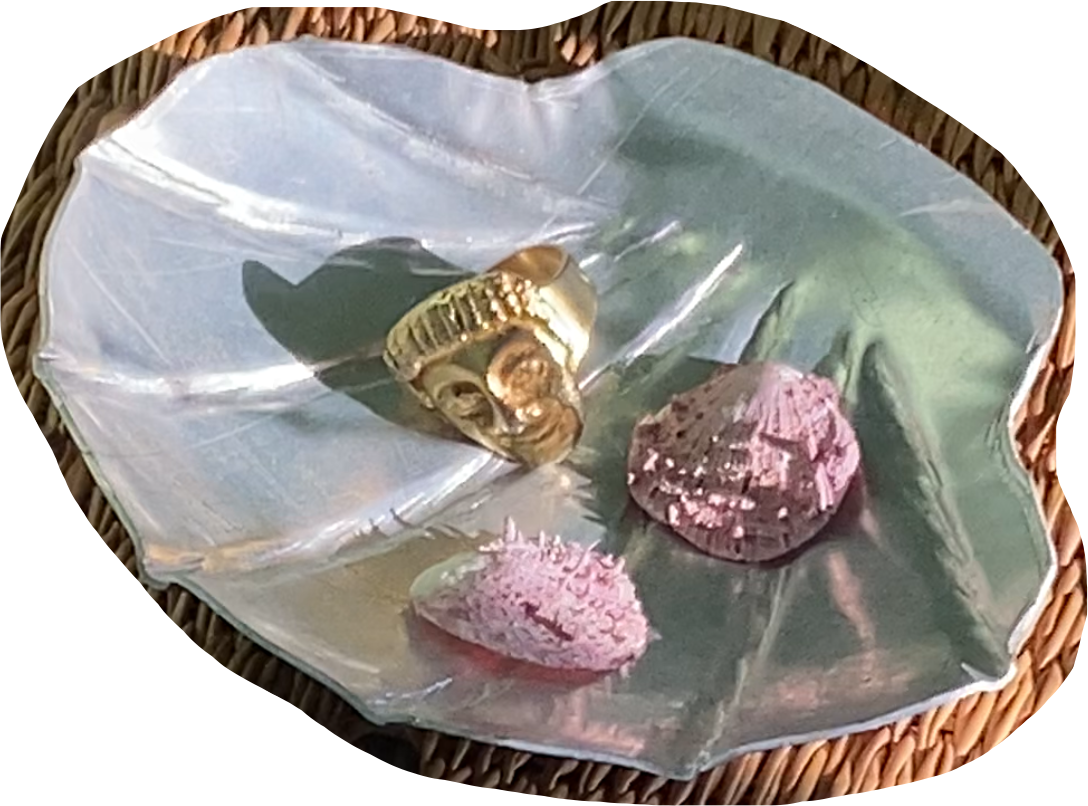 SHELL BOWLS - Set of 2