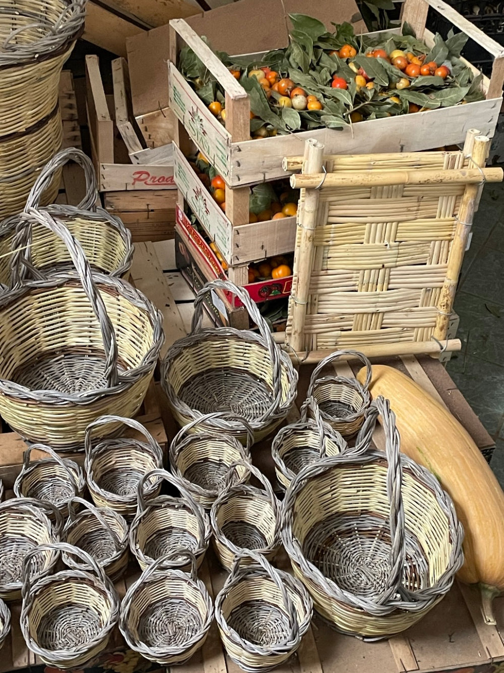 BASKET WEAVING & WILD HERBS