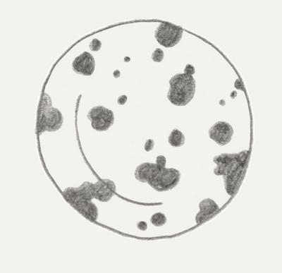 MAXI LEOPARD SCHIZZO PLATE