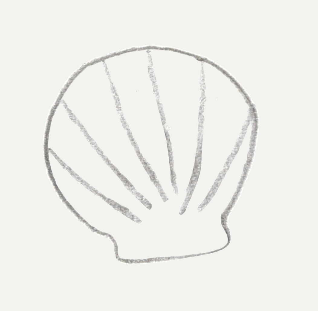 SHELL BOWLS - Set of 2