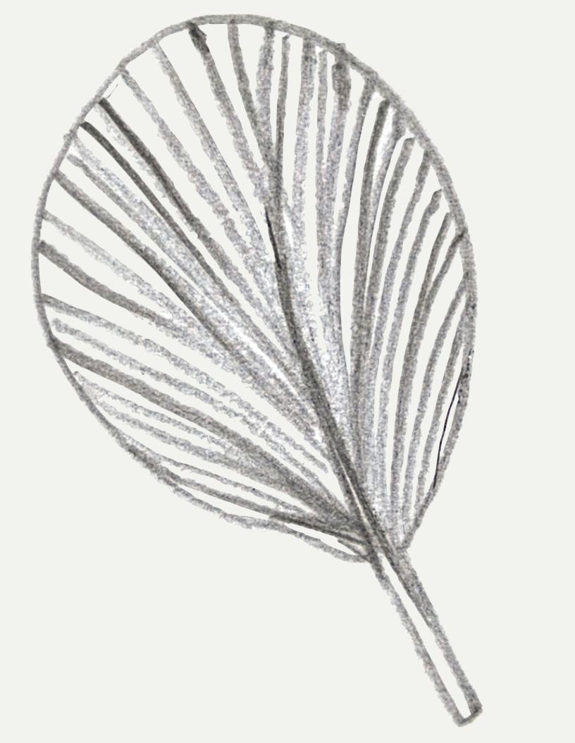 PALM LEAF FAN