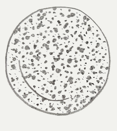 MINI LEOPARD SCHIZZO PLATE