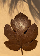 Load image into Gallery viewer, FICO - Wall Sconce
