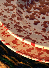 Load image into Gallery viewer, S C H I Z Z O Rosso - Set of 4 Terracotta Soup Plates
