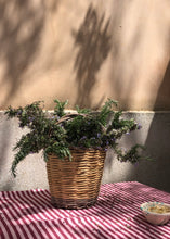 Load image into Gallery viewer, CESTINELLA - Basket
